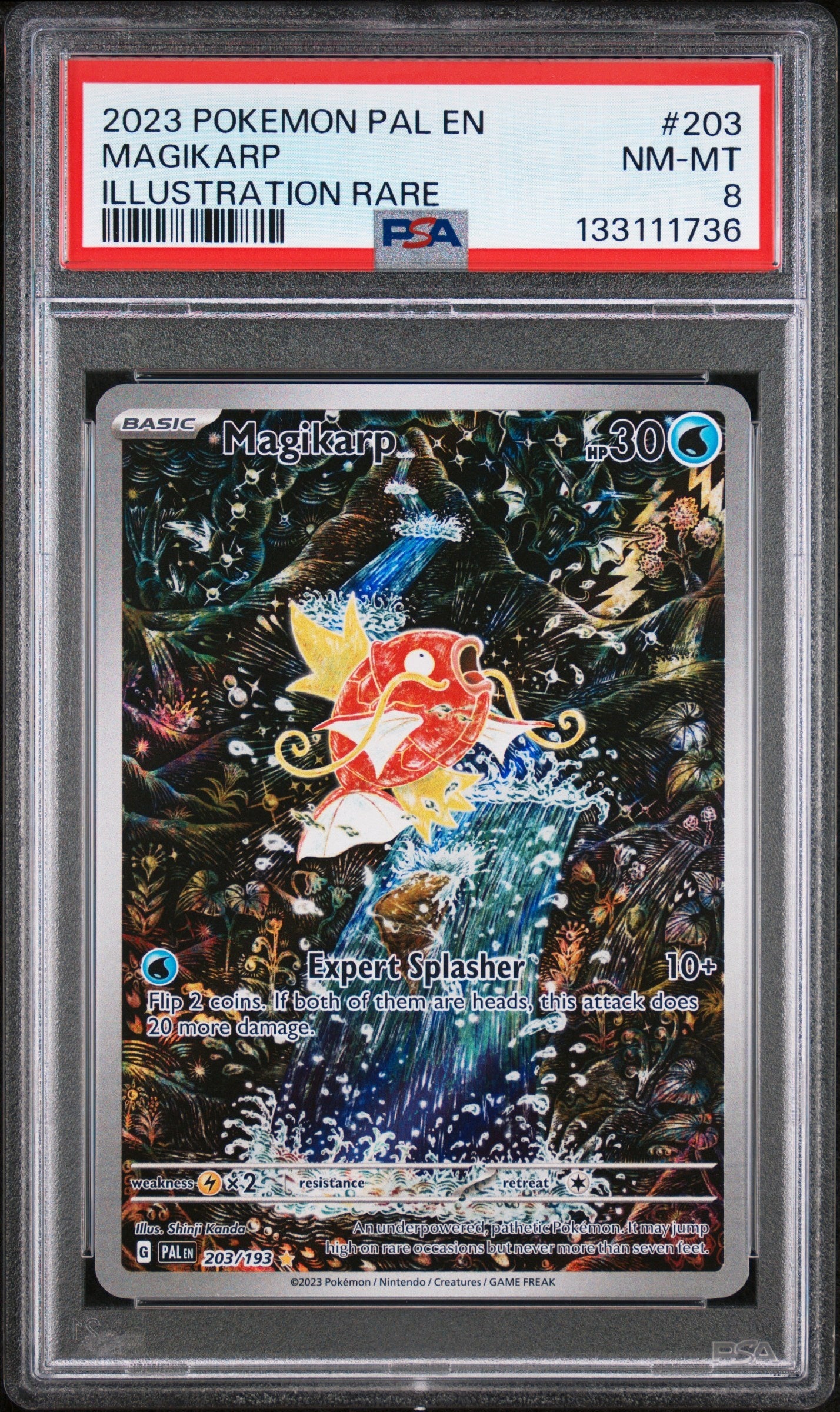 kDMbQpNQ90ysvur0xLIZzA.jpg 2023 Pokemon Pal En-Paldea Evolved 203 Magikarp Illustration Rare - PSA 8 - Image 1